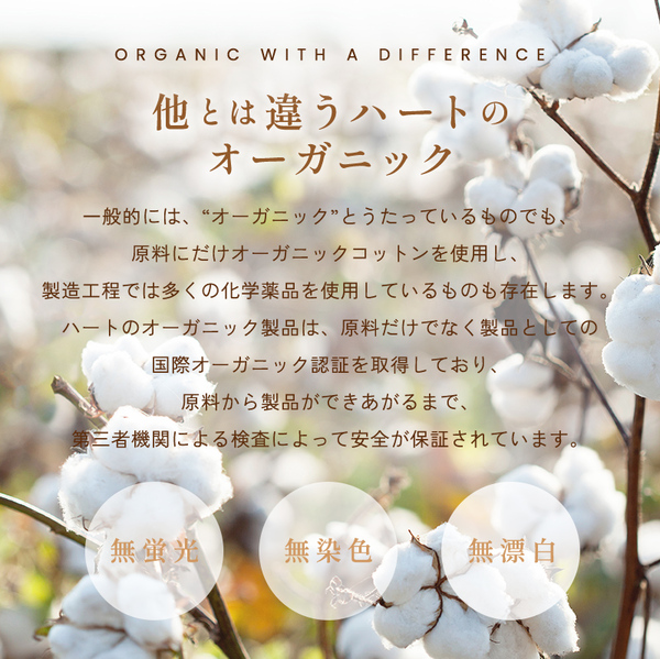 オーガニック敷ふとん オーガニック敷ふとん