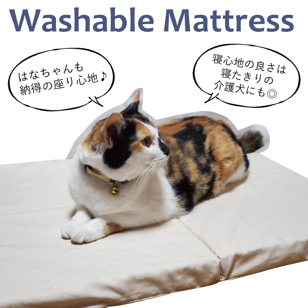 ペットもお気に入りのマットレス ペットもお気に入りのマットレス