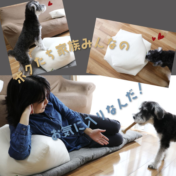 家族みんなで使えるクッション 家族みんなで使えるクッション