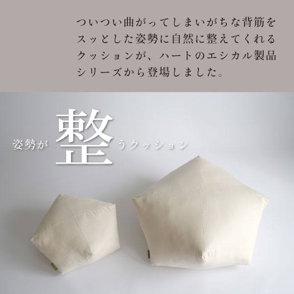 自然と姿勢が整うクッション