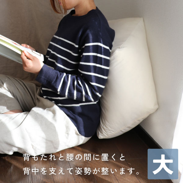 ととのうクッション大