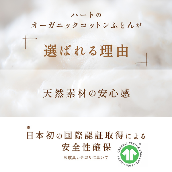 オーガニック掛ふとん