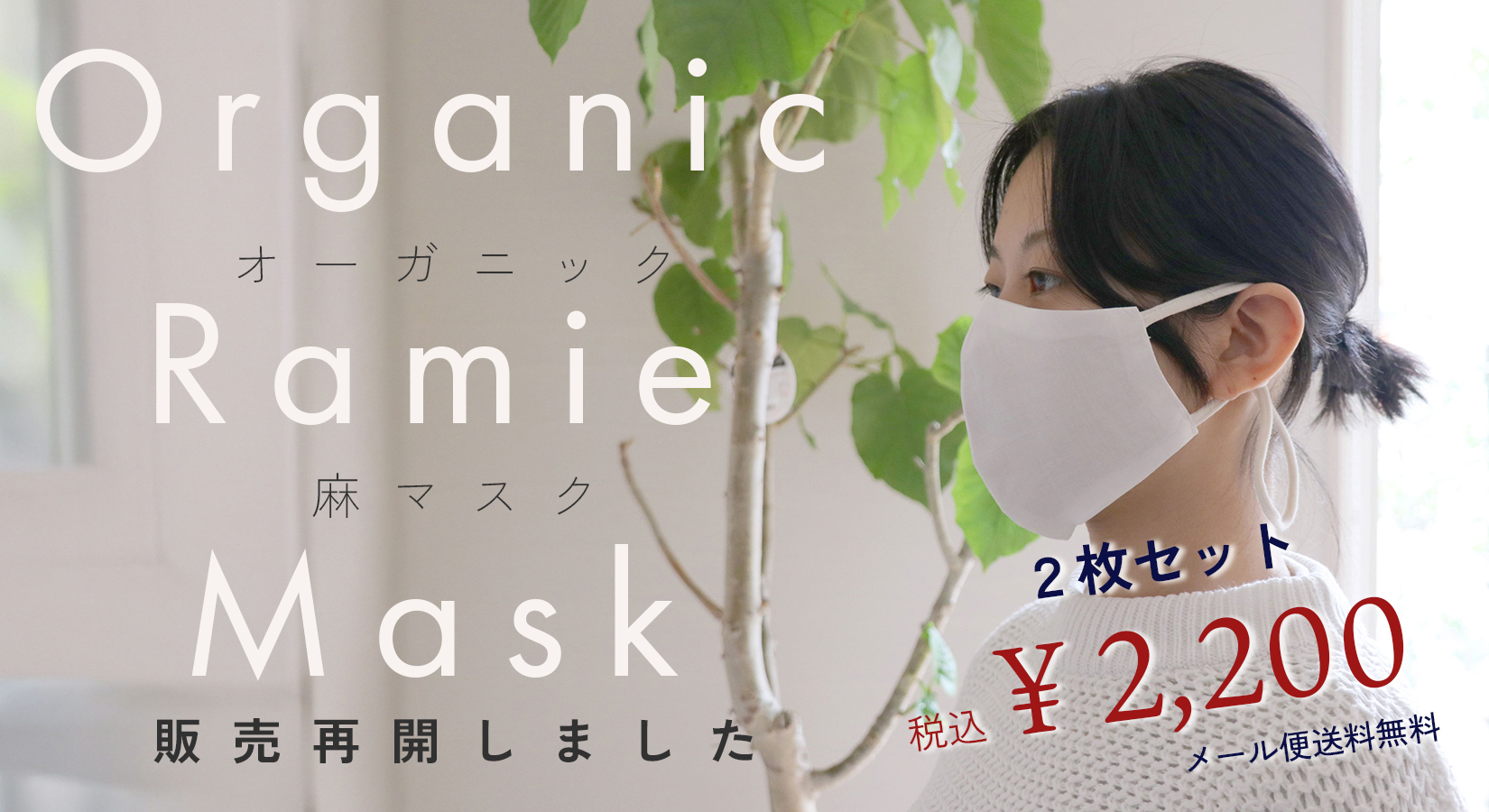 オーガニック麻マスクセット販売再開